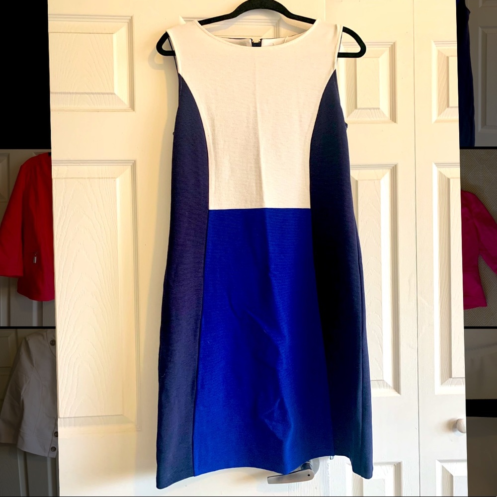 Geraldine Ottoman Dress - Lapis/Navy from Boden